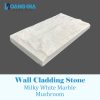 Milky White Mushroom Marble